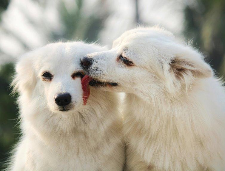 improving appearance through cheek biting
